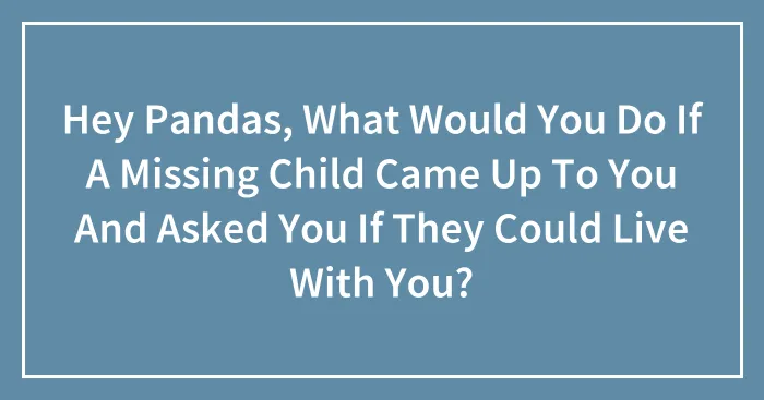 Hey Pandas, What Would You Do If A Missing Child Came Up To You And Asked You If They Could Live With You?