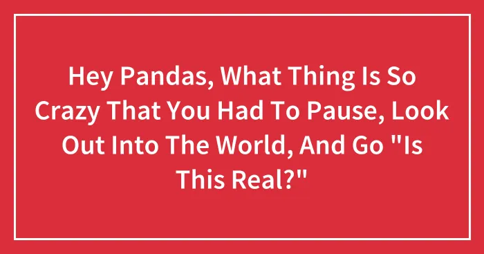 Hey Pandas, What Thing Is So Crazy That You Had To Pause, Look Out Into The World, And Go "Is This Real?" (Closed)