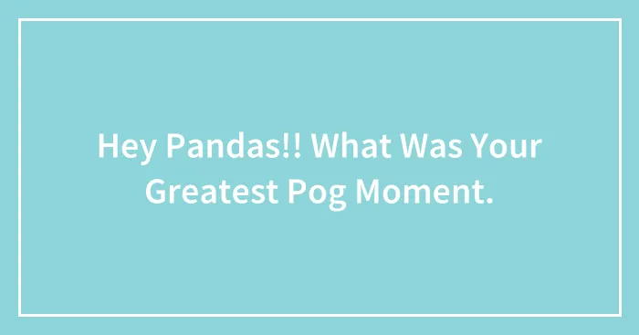 Hey Pandas!! What Was Your Greatest Pog Moment.