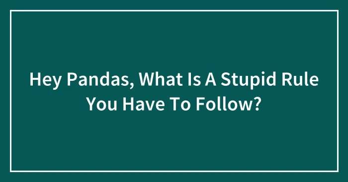 Hey Pandas, What Is A Stupid Rule You Have To Follow? (Closed)