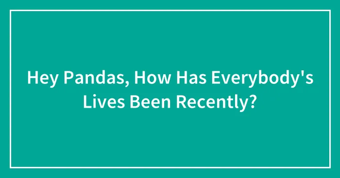 Hey Pandas, How Has Everybody's Lives Been Recently? (Closed)