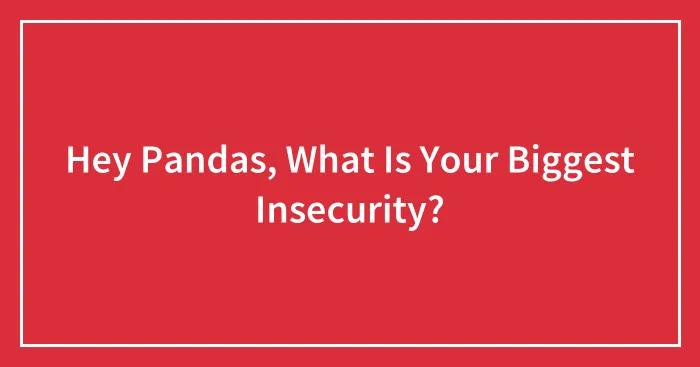 Hey Pandas, What Is Your Biggest Insecurity? (Closed)
