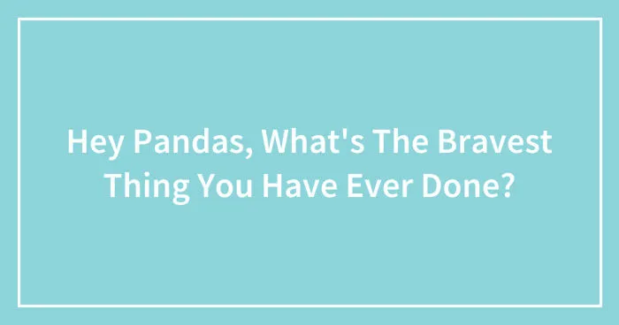 Hey Pandas, What's The Bravest Thing You Have Ever Done? (Closed)