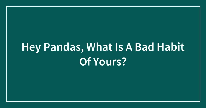 Hey Pandas, What Is A Bad Habit Of Yours? (Closed)