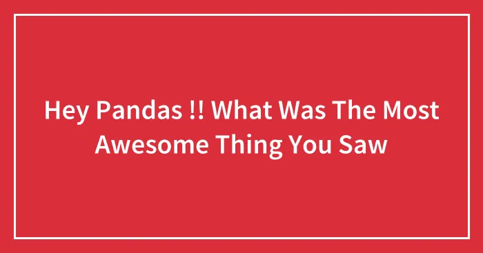 Hey Pandas !! What Was The Most Awesome Thing You Saw