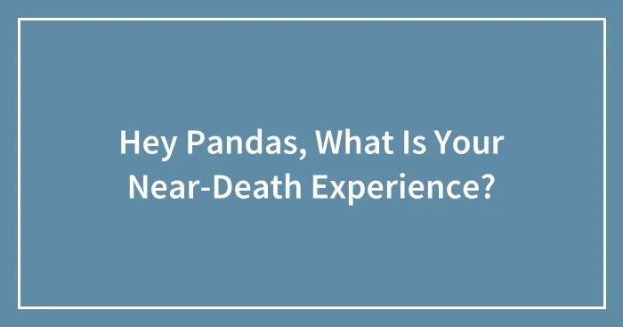 Hey Pandas, What Is Your Near-Death Experience? (Closed)