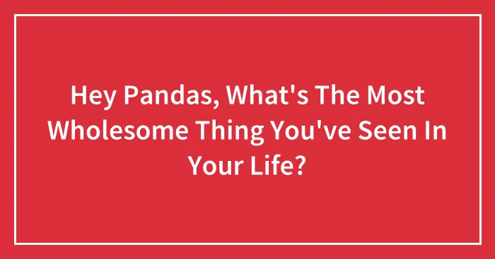 Hey Pandas, What's The Most Wholesome Thing You've Seen In Your Life? (Closed)