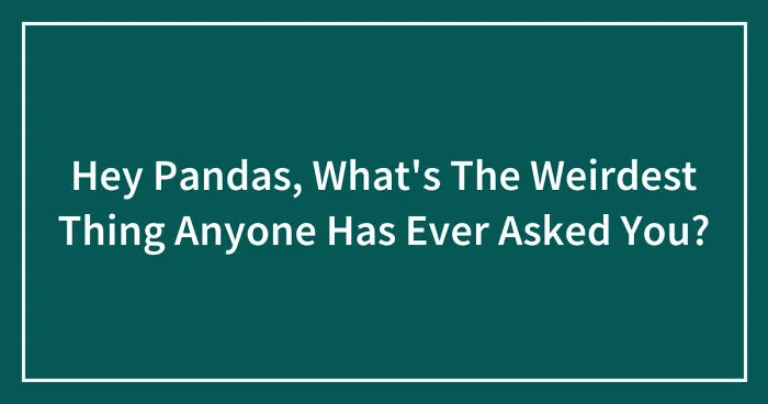 Hey Pandas, What's The Weirdest Thing Anyone Has Ever Asked You? (Closed)