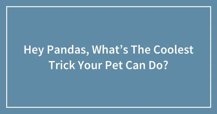 Hey Pandas, What’s The Coolest Trick Your Pet Can Do? (Closed)