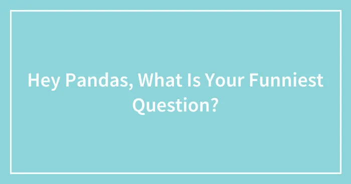 Hey Pandas, What Is Your Funniest Question? (Closed)