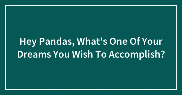 Hey Pandas, What's One Of Your Dreams You Wish To Accomplish? (Closed)