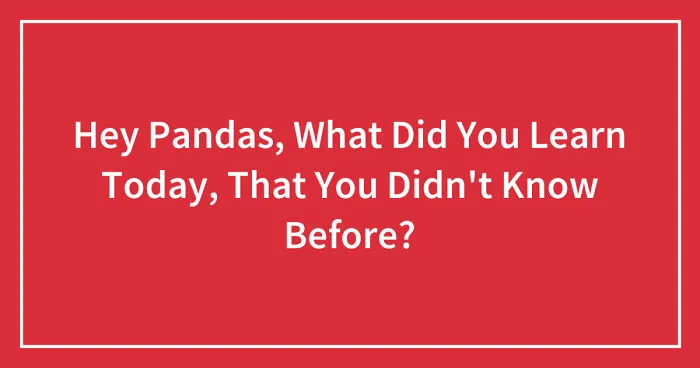 Hey Pandas, What Did You Learn Today, That You Didn't Know Before? (Closed)