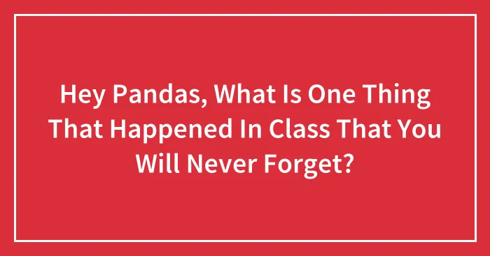 Hey Pandas, What Is One Thing That Happened In Class That You Will Never Forget? (Closed)