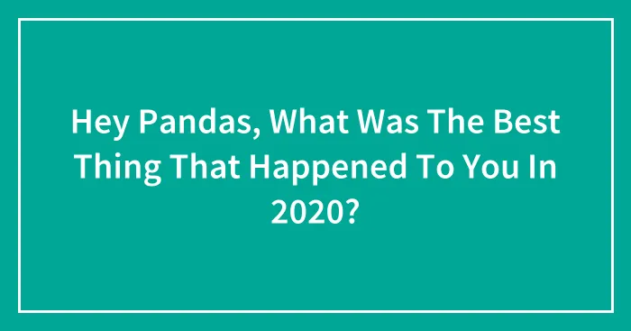 Hey Pandas, What Was The Best Thing That Happened To You In 2020?