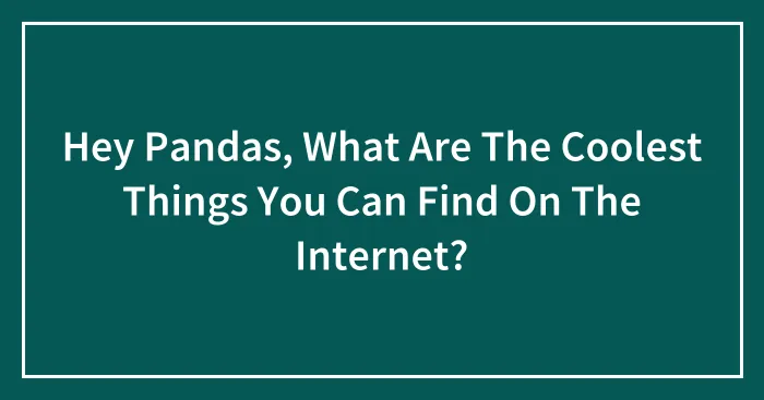 Hey Pandas, What Are The Coolest Things You Can Find On The Internet? (Closed)