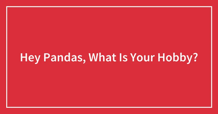 Hey Pandas, What Is Your Hobby? (Closed)