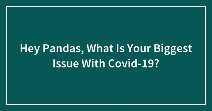 Hey Pandas, What Is Your Biggest Issue With Covid-19? (Closed)