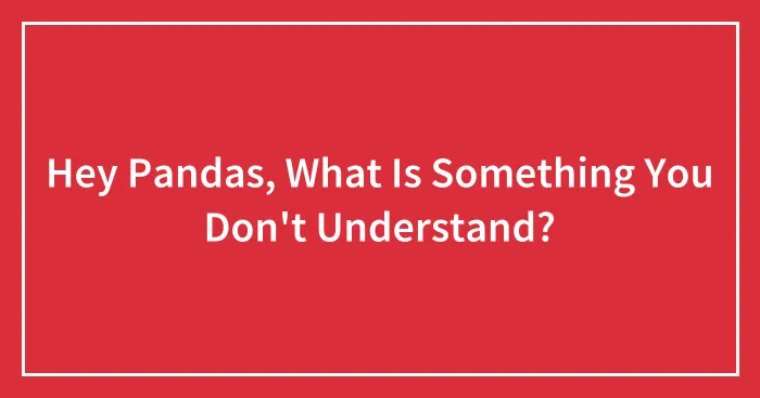 Hey Pandas, What Is Something You Don't Understand? (Closed)