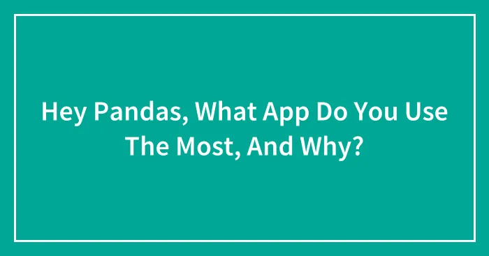 Hey Pandas, What App Do You Use The Most, And Why? (Closed)