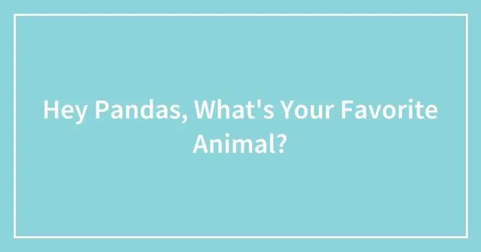 Hey Pandas, What's Your Favorite Animal?
