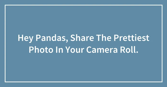 Hey Pandas, Share The Prettiest Photo In Your Camera Roll.