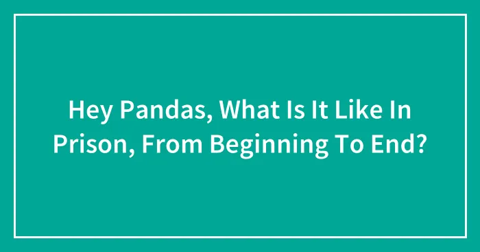 Hey Pandas, What Is It Like In Prison, From Beginning To End? (Closed)