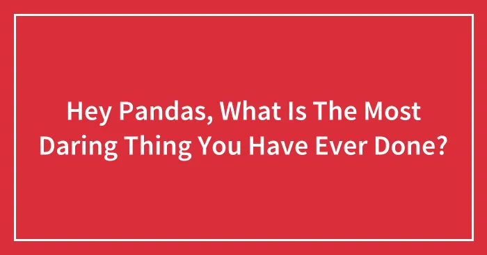 Hey Pandas, What Is The Most Daring Thing You Have Ever Done? (Closed)