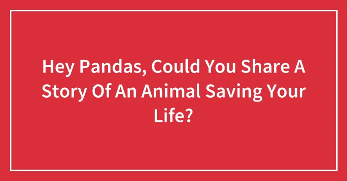 Hey Pandas, Could You Share A Story Of An Animal Saving Your Life? (Closed)