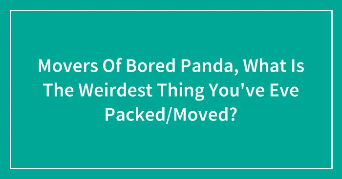 Movers Of Bored Panda, What Is The Weirdest Thing You've Eve Packed/Moved?