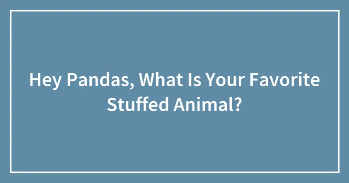 Hey Pandas, What Is Your Favorite Stuffed Animal?