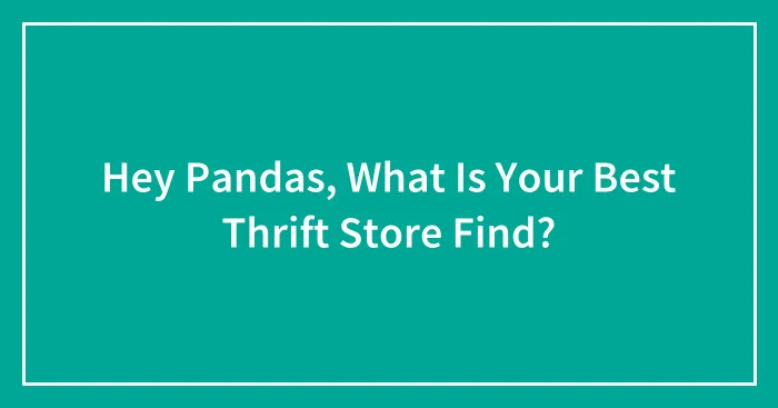 Hey Pandas, What Is Your Best Thrift Store Find?