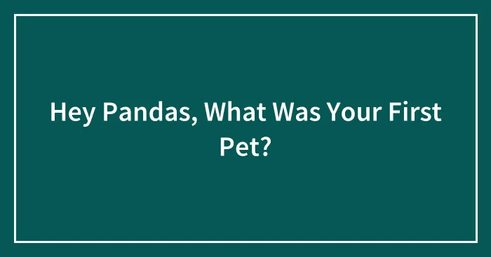 Hey Pandas, What Was Your First Pet? (Closed)