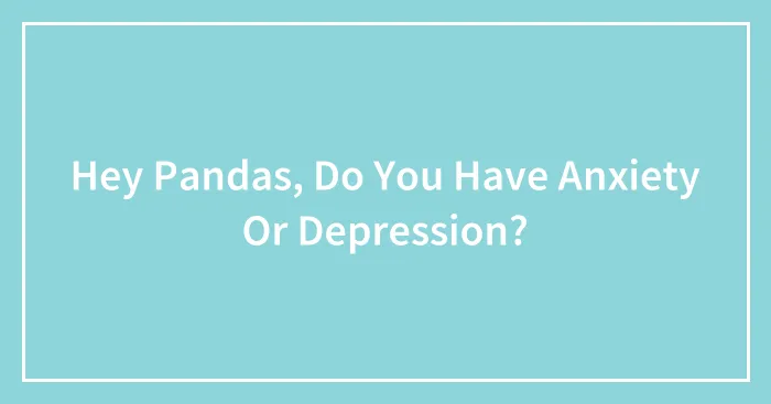 Hey Pandas, Do You Have Anxiety Or Depression? (Closed)