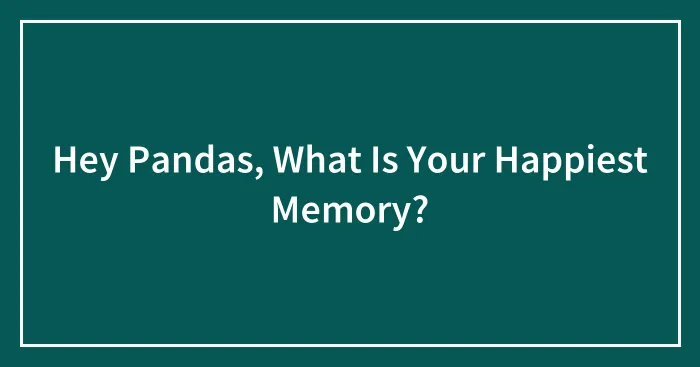 Hey Pandas, What Is Your Happiest Memory?