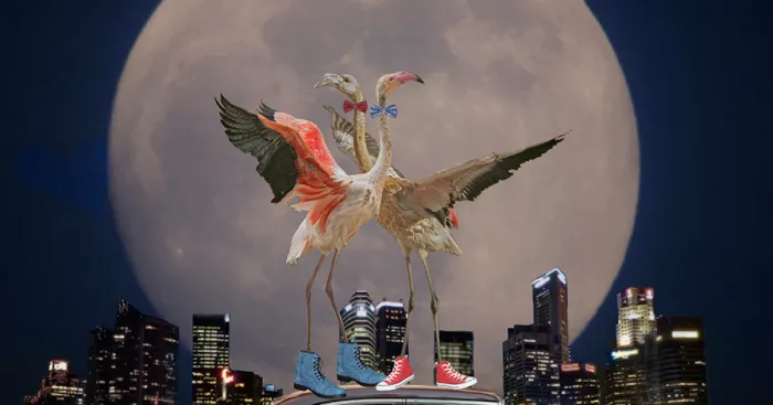 I Make Surreal New Worlds With Photos