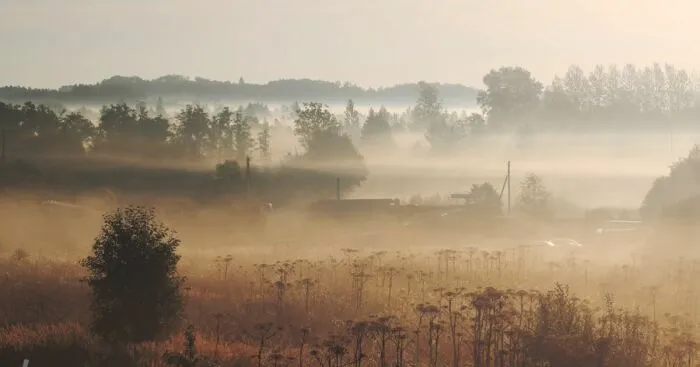 Hey Pandas, Post A Picture Of A Landscape That Was Taken By You (Closed)