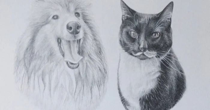 Hey Pandas, Draw The Best Image You Can On Paper (Closed)