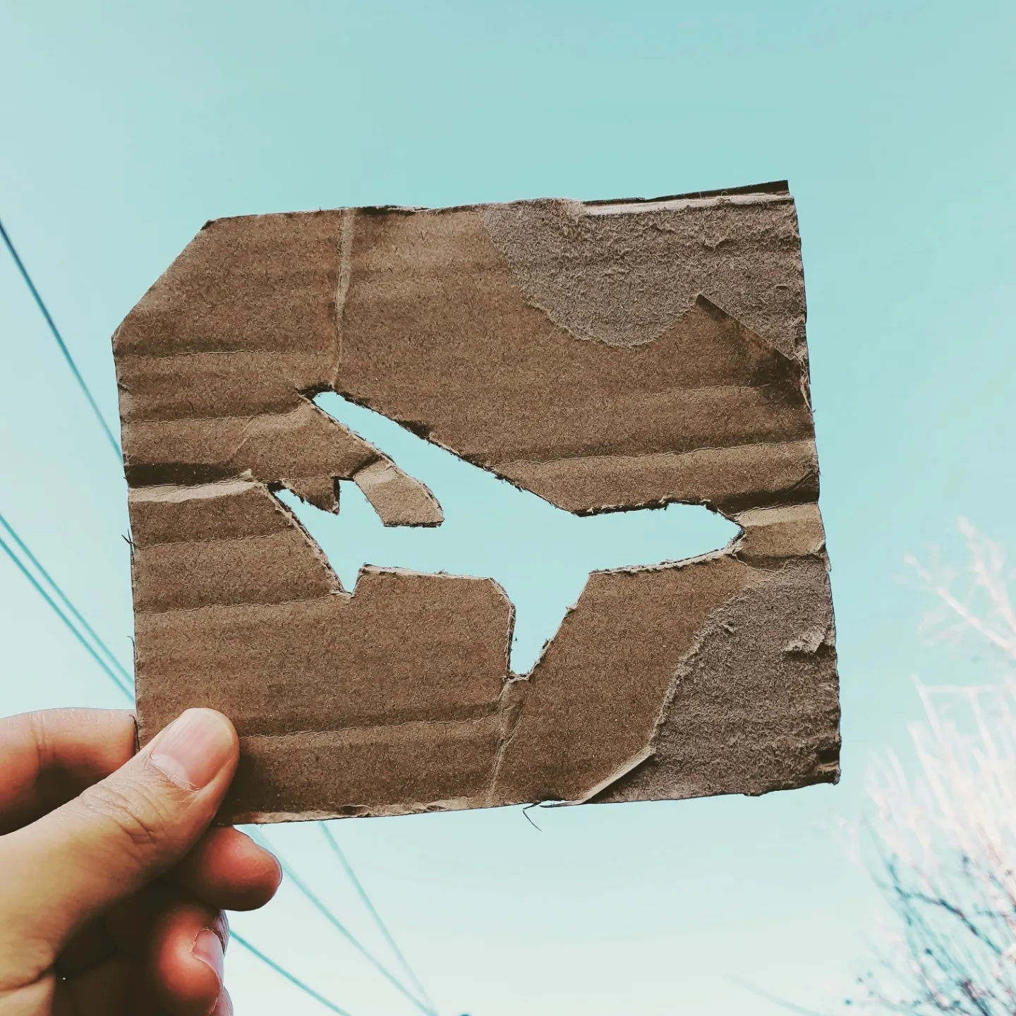 Emptyflight
