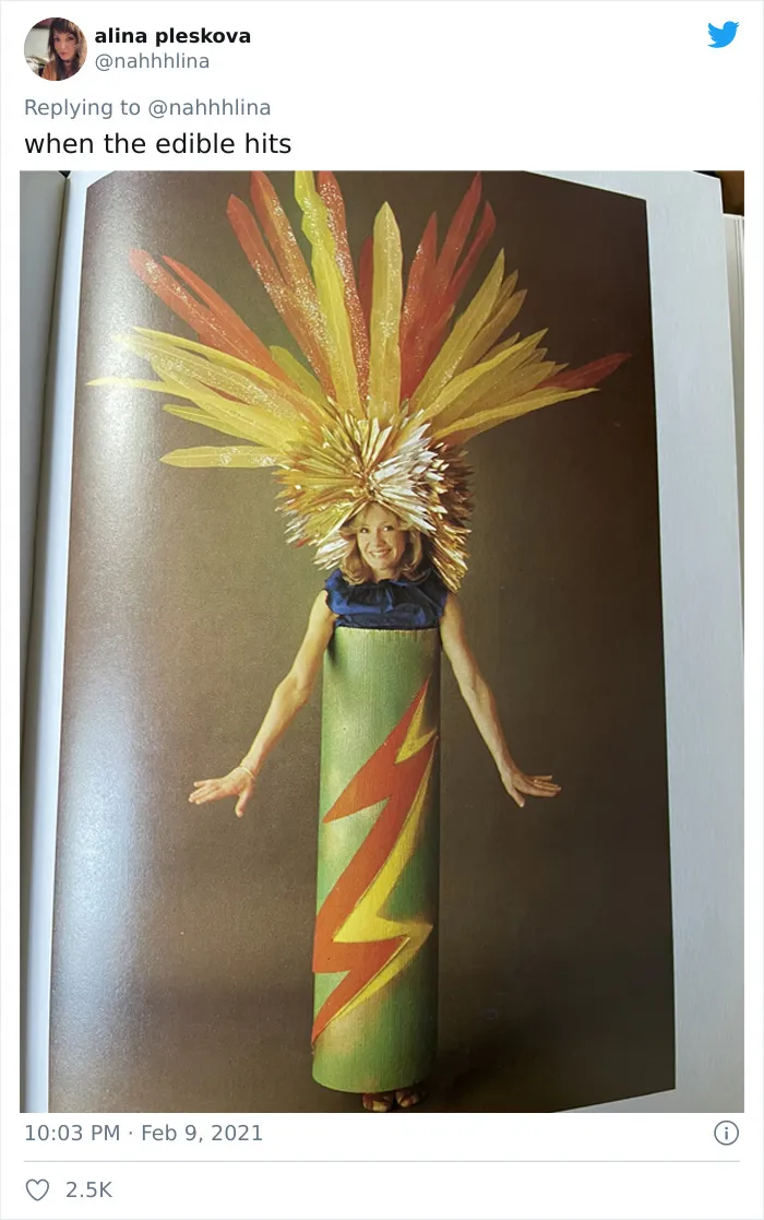 Woman Discovers A 1986 Costume Book Thrown Away, And It Has Some Of The Weirdest DIY Costumes Twitter Has Ever Seen