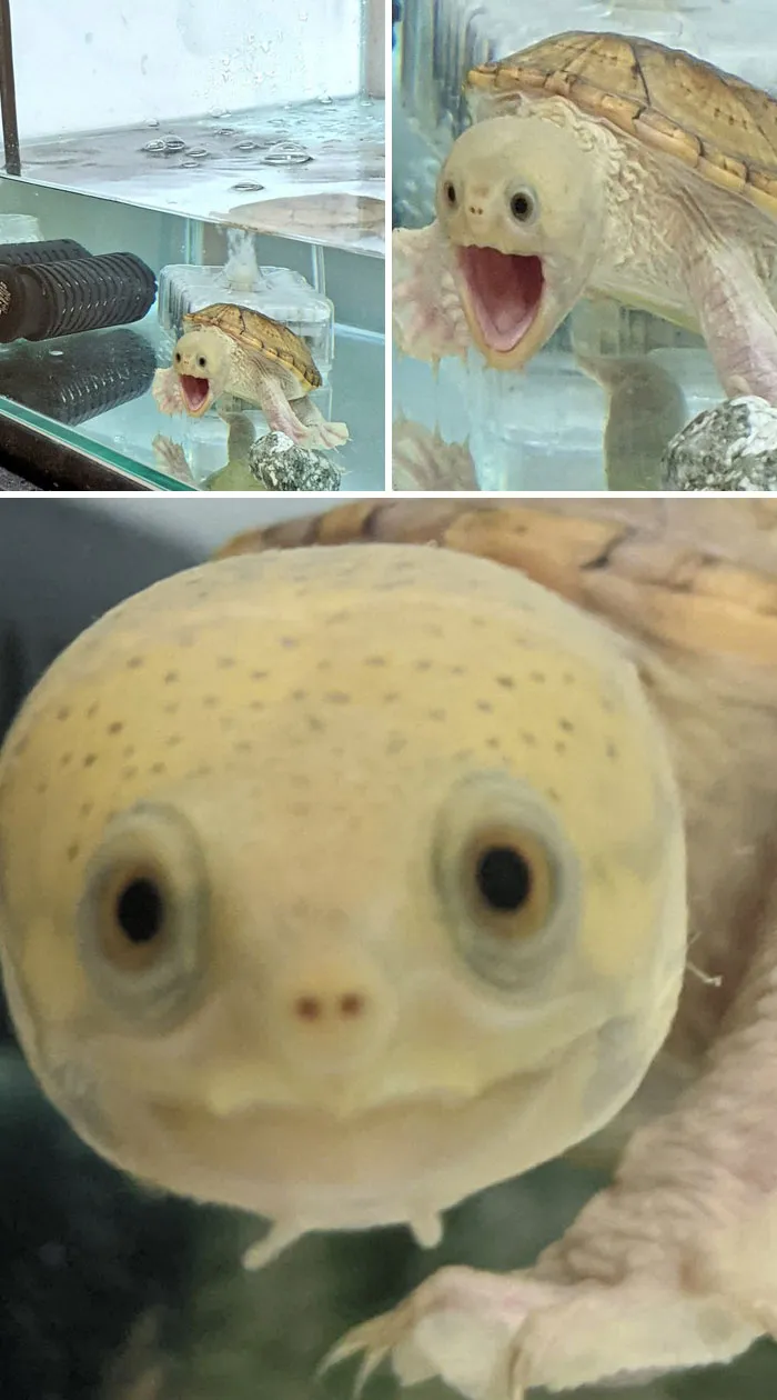 Cuando descubres la cámara oculta
