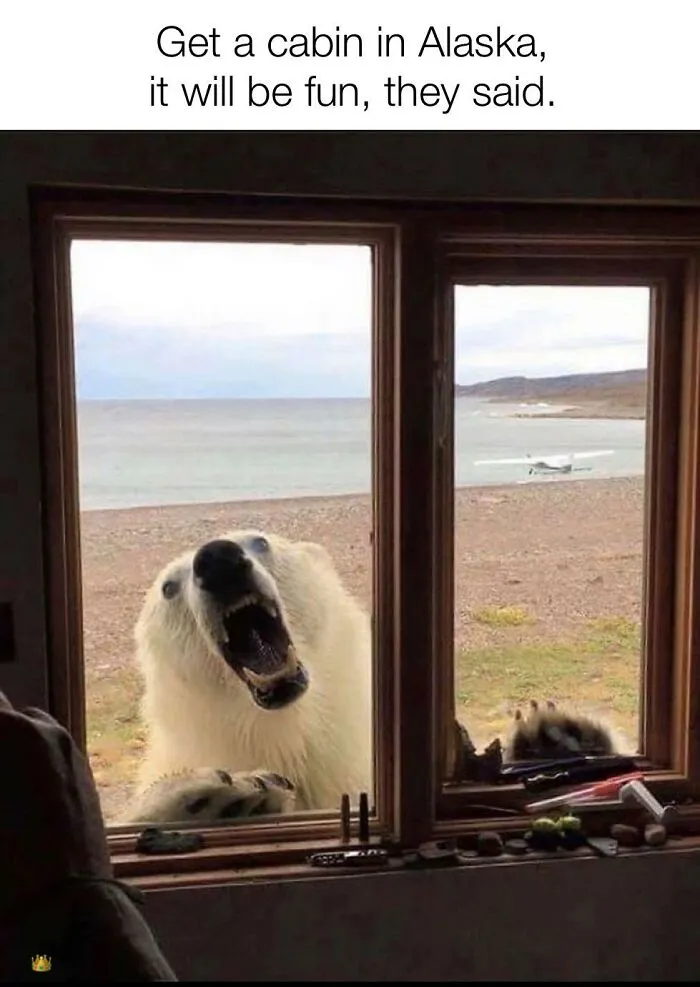 Hello