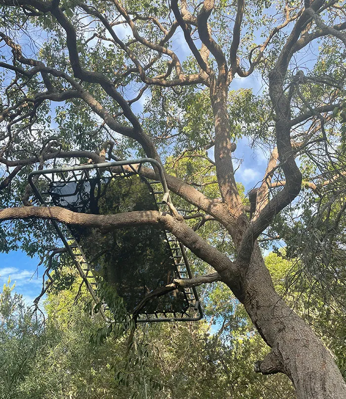 My Neighbors Had A Party Last Night. That’s My Trampoline