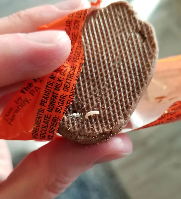 When You've Been Looking Forward To A Reese's All Day But Then You Open One Up And Find A Worm In It