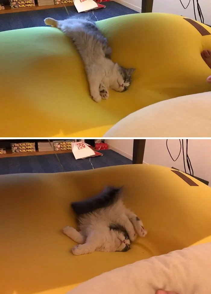 Zzz