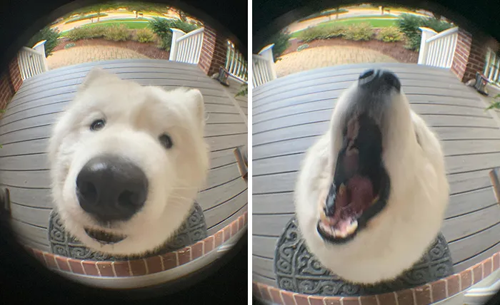 Knock Knock
