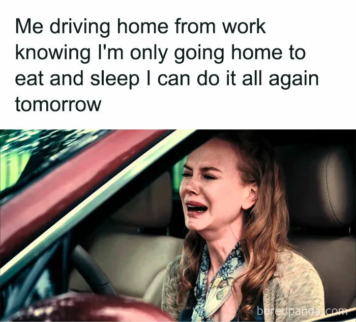 50 Funny Memes People Working In An Office Will Relate To
