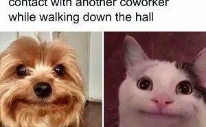 50 Funny Memes People Working In An Office Will Relate To