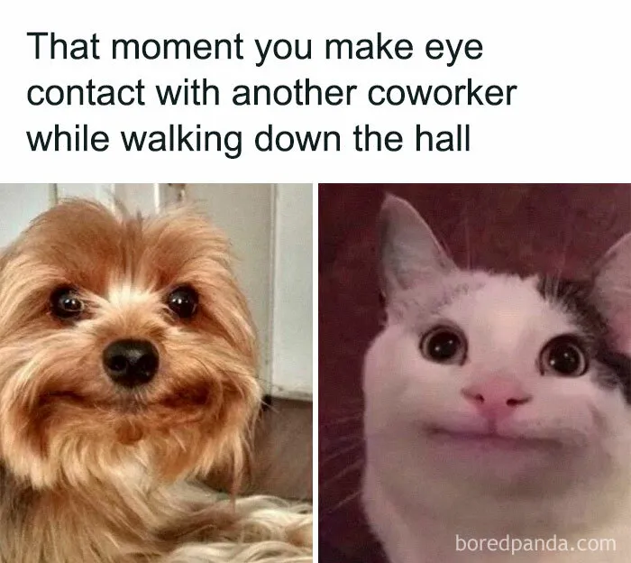 50 Funny Memes People Working In An Office Will Relate To