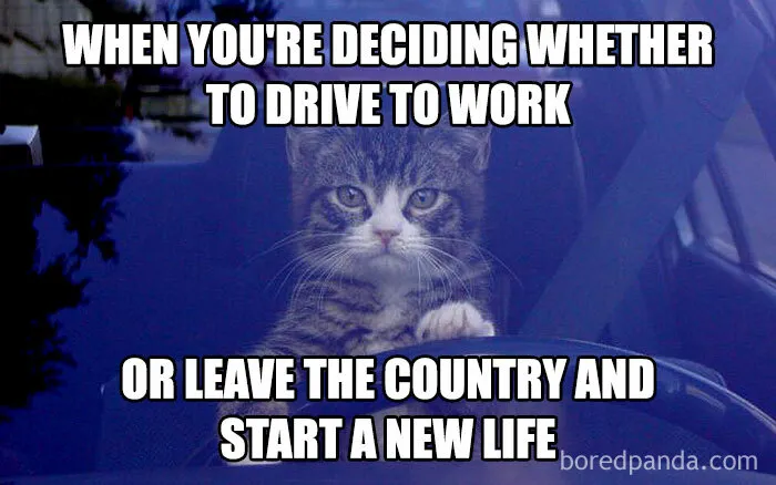 50 Funny Memes People Working In An Office Will Relate To