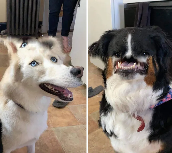 These Two